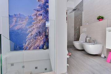 Image showing luxury stylish bathroom interior