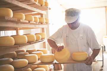 Image showing Cheese maker at the storage with shelves full of cow and goat cheese