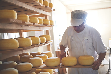 Image showing Cheese maker at the storage with shelves full of cow and goat cheese