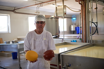 Image showing Cheese production cheesemaker working in factory