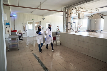 Image showing business woman team in local cheese production company