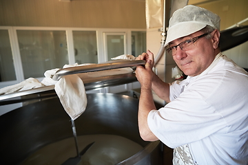 Image showing Cheese production cheesemaker working in factory