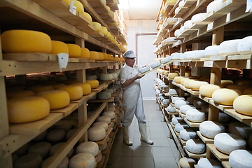 Image showing Cheese maker at the storage with shelves full of cow and goat cheese