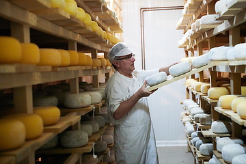 Image showing Cheese maker at the storage with shelves full of cow and goat cheese