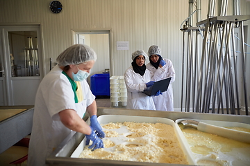 Image showing Workers preparing raw milk for cheese production