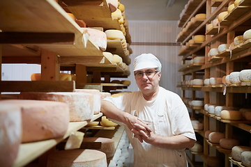 Image showing Cheese maker at the storage with shelves full of cow and goat cheese