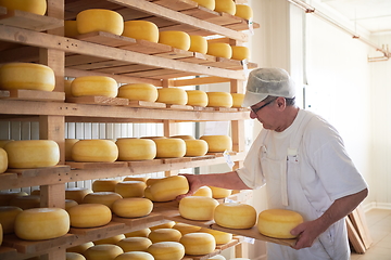 Image showing Cheese maker at the storage with shelves full of cow and goat cheese