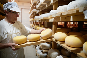 Image showing Cheese maker at the storage with shelves full of cow and goat cheese