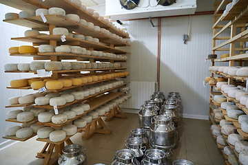 Image showing Cheese factory production shelves with aging old cheese