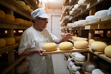 Image showing Cheese maker at the storage with shelves full of cow and goat cheese