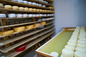 Image showing Cheese factory production shelves with aging old cheese