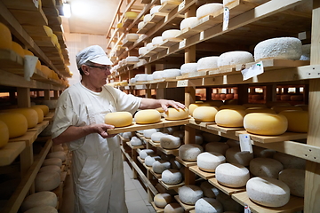 Image showing Cheese maker at the storage with shelves full of cow and goat cheese