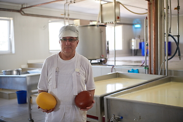Image showing Cheese production cheesemaker working in factory