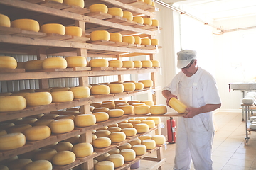 Image showing Cheese maker at the storage with shelves full of cow and goat cheese