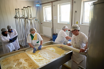 Image showing Workers preparing raw milk for cheese production