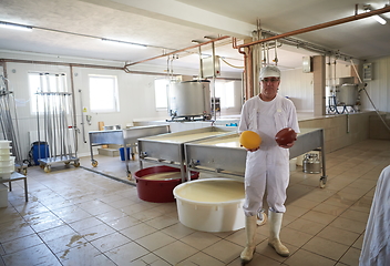 Image showing Cheese production cheesemaker working in factory