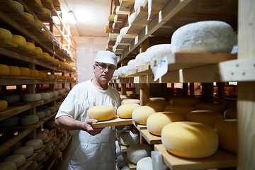 Image showing Cheese maker at the storage with shelves full of cow and goat cheese