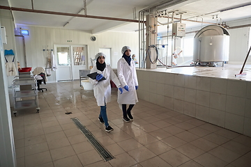 Image showing business woman team in local cheese production company