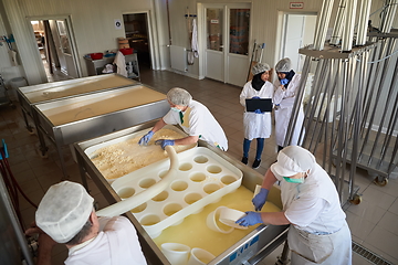 Image showing Workers preparing raw milk for cheese production