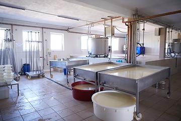 Image showing Cheese factory production shelves with aging old cheese