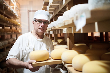 Image showing Cheese maker at the storage with shelves full of cow and goat cheese