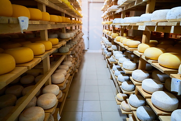 Image showing Cheese factory production shelves with aging old cheese