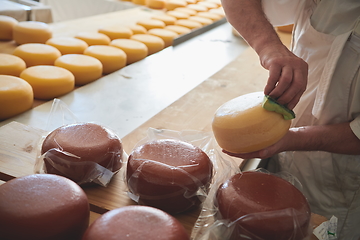 Image showing Cheese maker at local production factory