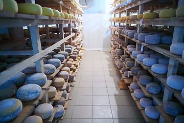 Image showing Cheese factory production shelves with aging old cheese