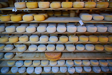 Image showing Cheese factory production shelves with aging old cheese