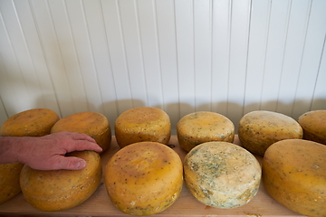 Image showing Cheese factory production shelves with aging old cheese