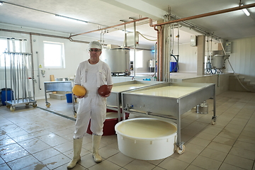 Image showing Cheese production cheesemaker working in factory