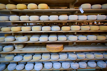 Image showing Cheese factory production shelves with aging old cheese