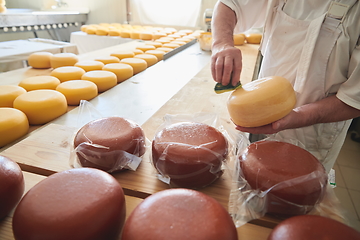 Image showing Cheese maker at local production factory