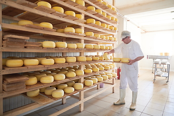 Image showing Cheese maker at the storage with shelves full of cow and goat cheese