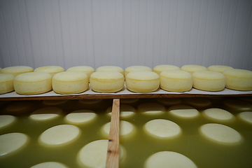 Image showing Cheese factory production shelves with aging old cheese