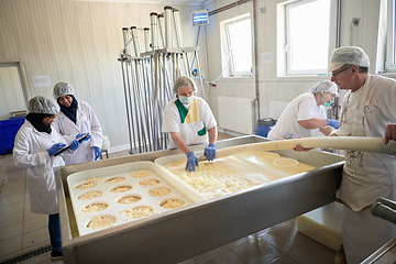 Image showing Workers preparing raw milk for cheese production