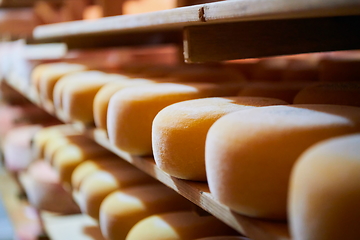 Image showing Cheese factory production shelves with aging old cheese