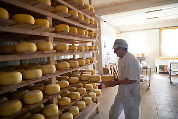 Image showing Cheese maker at the storage with shelves full of cow and goat cheese