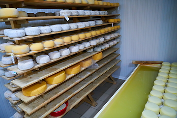 Image showing Cheese factory production shelves with aging old cheese