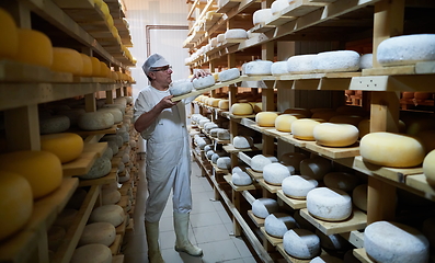 Image showing Cheese maker at the storage with shelves full of cow and goat cheese