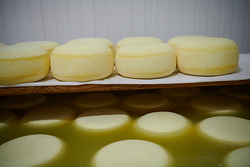 Image showing Cheese factory production shelves with aging old cheese