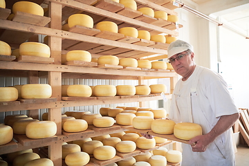 Image showing Cheese maker at the storage with shelves full of cow and goat cheese