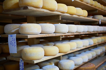 Image showing Cheese factory production shelves with aging old cheese