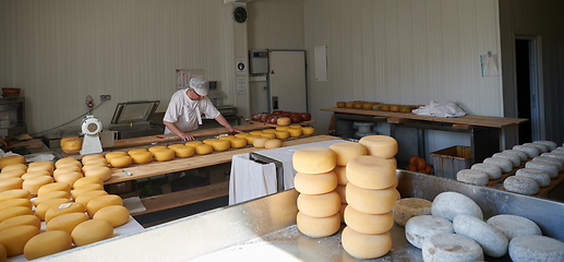 Image showing Cheese maker at local production factory