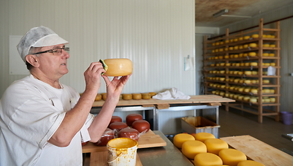 Image showing Cheese maker at local production factory