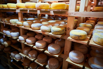 Image showing Cheese factory production shelves with aging old cheese