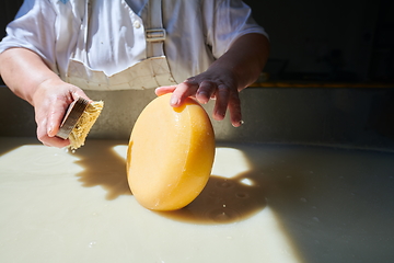 Image showing Workers preparing raw milk for cheese production