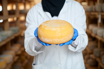 Image showing African black muslim business woman in local cheese production company