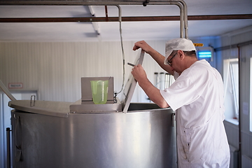Image showing Cheese production cheesemaker working in factory