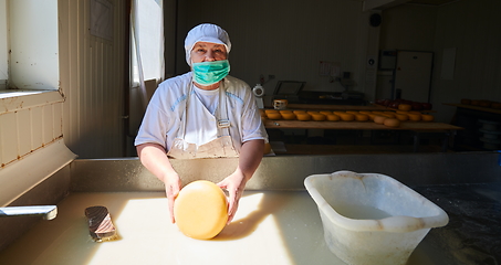 Image showing Workers preparing raw milk for cheese production